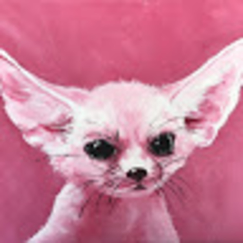 Meet your Posher, Fennec